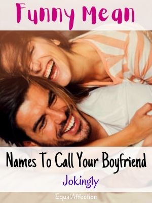Funny Mean Nicknames For Boyfriend
