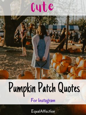 Cute Pumpkin Patch Quotes For Instagram