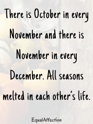 Funny November Quotes