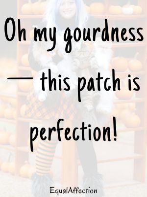 Funny Pumpkin Patch Quotes For Family