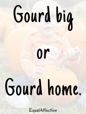 Funny Pumpkin Patch Quotes For Family