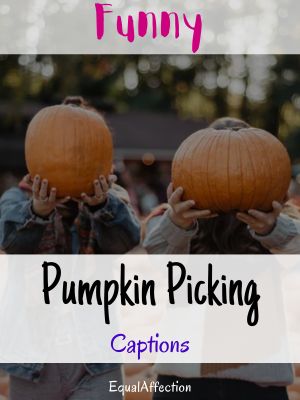 Funny Pumpkin Picking Captions