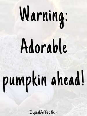 Funny Pumpkin Quotes For Babies