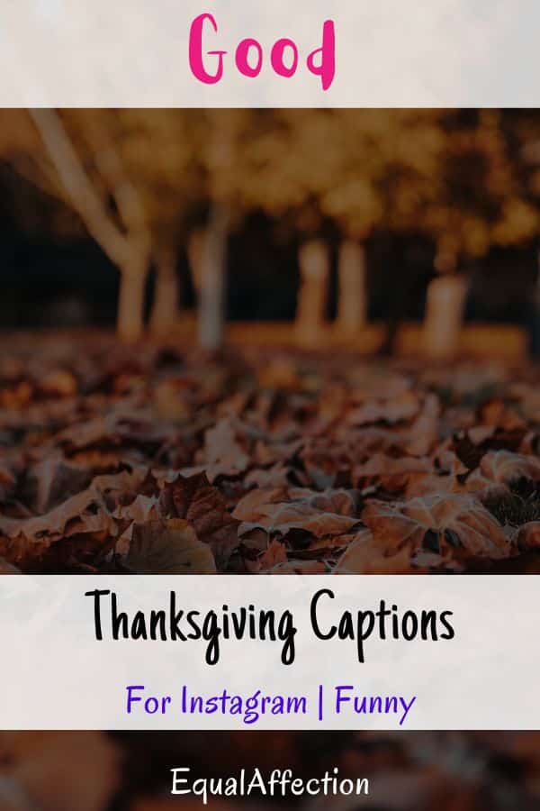 Good Thanksgiving Captions For Instagram