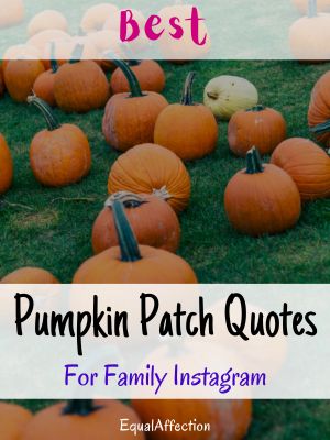 Pumpkin Patch Quotes For Family Instagram