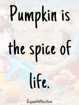 Pumpkin Patch Quotes For Family Love