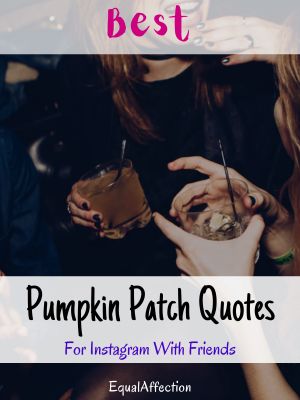 Pumpkin Patch Quotes For Instagram With Friends