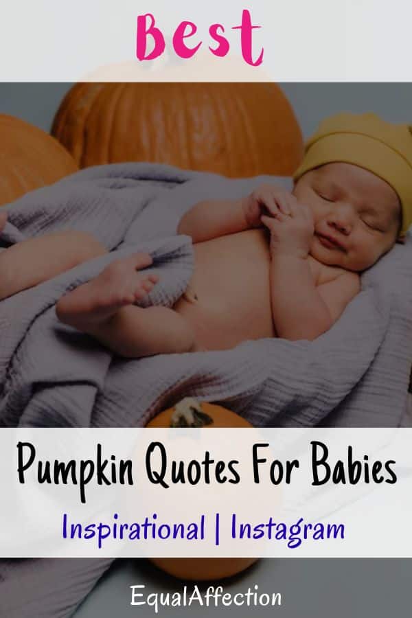 Pumpkin Quotes For Babies